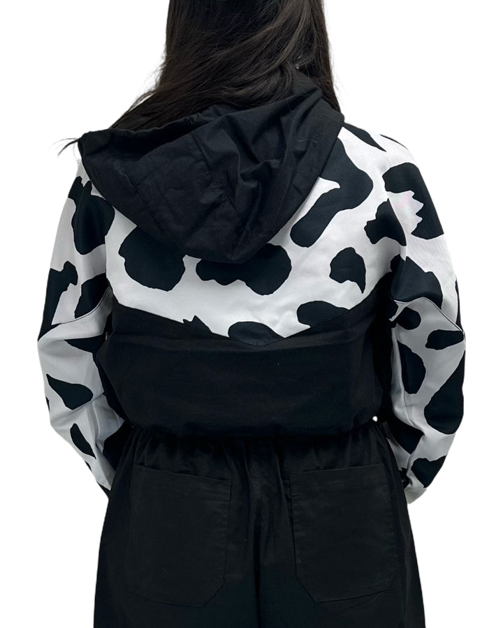 Cow & Black I