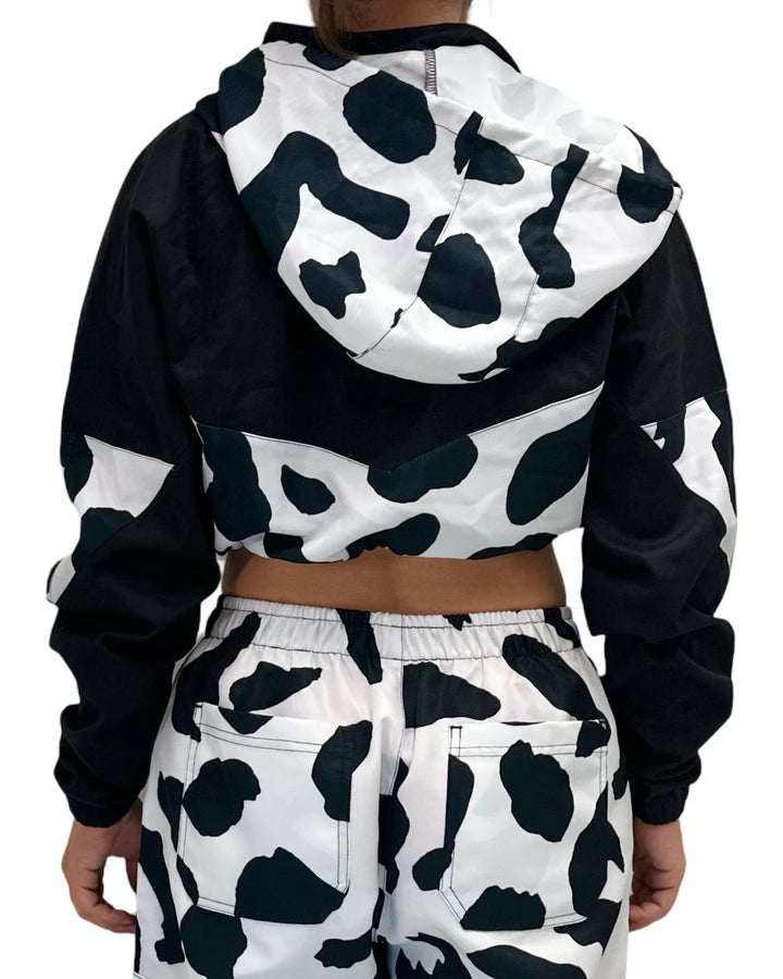 Cow & Black II
