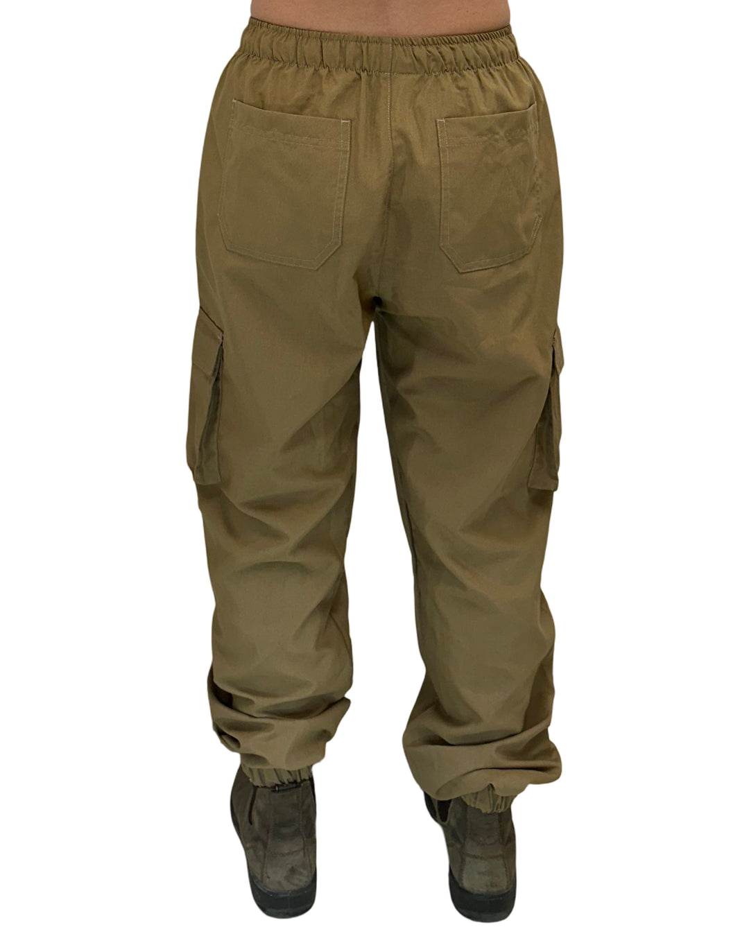 Brown Dunescape I Jogger